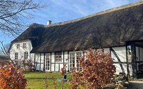 Bækgaardens bed&breakfast